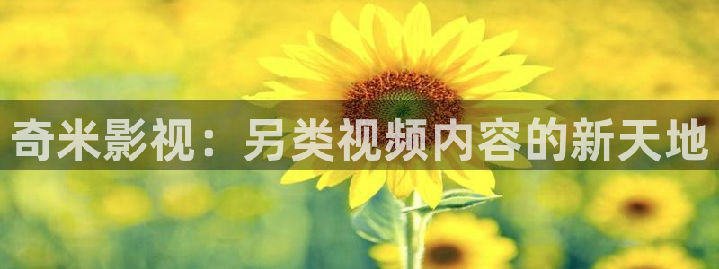 紅葉電影今日影訊：奇米影視：另類視頻內(nèi)容的新天地