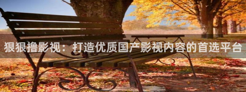紅葉電影院今日影訊：狠狠擼影視：打造優(yōu)質國產(chǎn)影視內(nèi)容的首選平臺