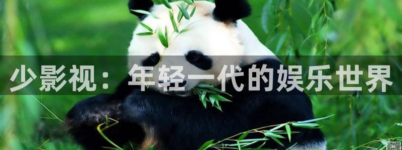 紅葉影院免費(fèi)觀看電視?。荷儆耙暎耗贻p一代的娛樂世界
